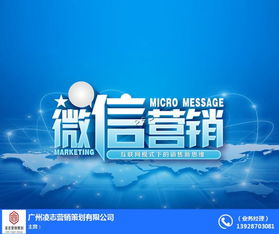 海珠區網站建設與軟件開發 凌志營銷策劃的專業之道